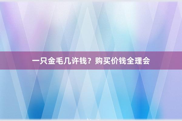一只金毛几许钱？购买价钱全理会